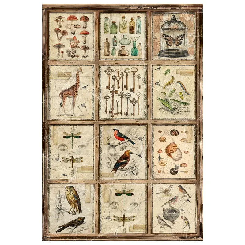 Rice-Paper-A4-MIXED-4-Pkg-Cabinet-of-curiosites (1).webp