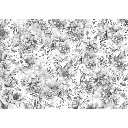 tissue-paper-cm69x49-2766x1929-bohemian-flower (1).webp