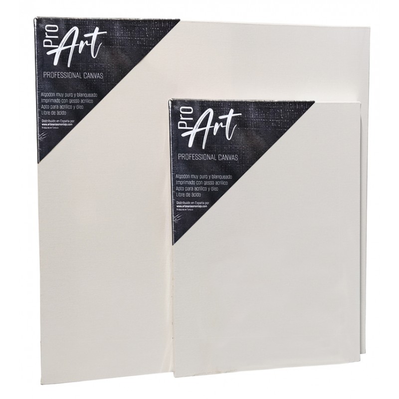 LIENZO 3F 22X27 