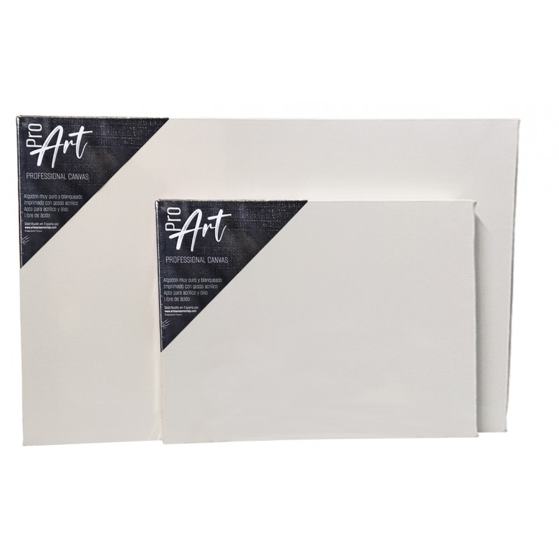 LIENZO 15M 65X46