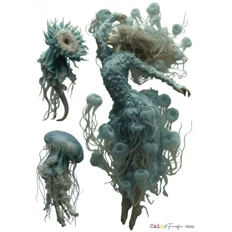 TRANSFER SIRENA MEDUSAS 21X27