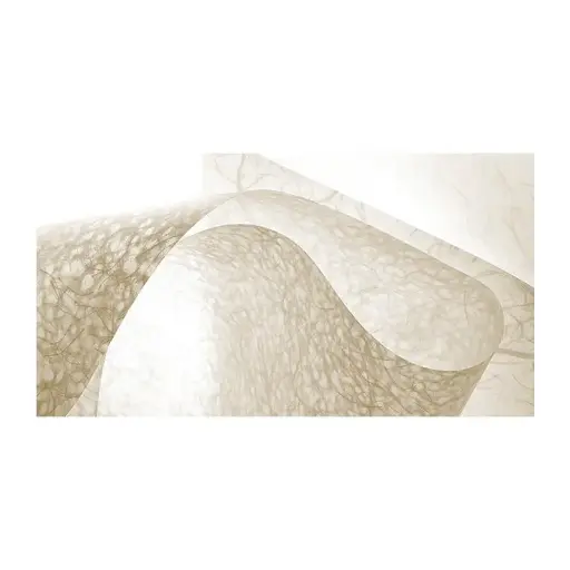 [PARROZCRU] PAPEL DE ARROZ CRUDO 50X70