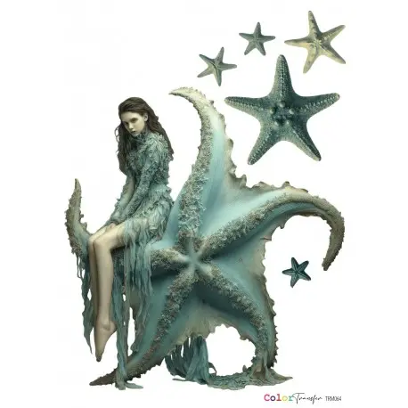[TRM064] TRANSFER SIRENA ESTRELLA DE MAR 21X27